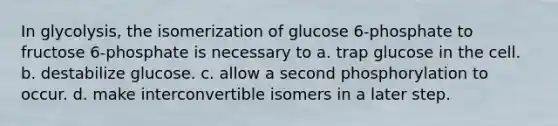 In glycolysis, the isomerization of glucose 6-phosphate to fructose 6-phosphate is necessary to a. trap glucose in the cell. b. destabilize glucose. c. allow a second phosphorylation to occur. d. make interconvertible isomers in a later step.