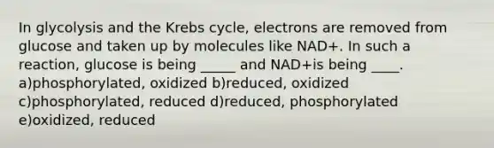 In glycolysis and the Krebs cycle, electrons are removed from glucose and taken up by molecules like NAD+. In such a reaction, glucose is being _____ and NAD+is being ____. a)phosphorylated, oxidized b)reduced, oxidized c)phosphorylated, reduced d)reduced, phosphorylated e)oxidized, reduced