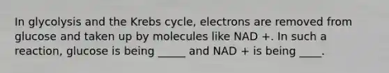 In glycolysis and the <a href='https://www.questionai.com/knowledge/kqfW58SNl2-krebs-cycle' class='anchor-knowledge'>krebs cycle</a>, electrons are removed from glucose and taken up by molecules like NAD +. In such a reaction, glucose is being _____ and NAD + is being ____.