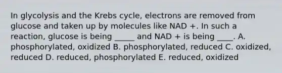 In glycolysis and the Krebs cycle, electrons are removed from glucose and taken up by molecules like NAD +. In such a reaction, glucose is being _____ and NAD + is being ____. A. phosphorylated, oxidized B. phosphorylated, reduced C. oxidized, reduced D. reduced, phosphorylated E. reduced, oxidized