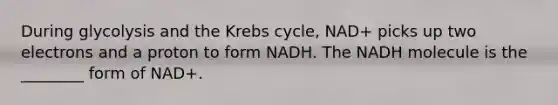 During glycolysis and the Krebs cycle, NAD+ picks up two electrons and a proton to form NADH. The NADH molecule is the ________ form of NAD+.