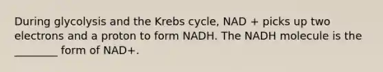 During glycolysis and the Krebs cycle, NAD + picks up two electrons and a proton to form NADH. The NADH molecule is the ________ form of NAD+.