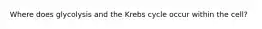 Where does glycolysis and the Krebs cycle occur within the cell?