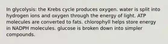 In glycolysis: the Krebs cycle produces oxygen. water is split into hydrogen ions and oxygen through the energy of light. ATP molecules are converted to fats. chlorophyll helps store energy in NADPH molecules. glucose is broken down into simpler compounds.