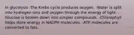 In glycolysis -The Krebs cycle produces oxygen. -Water is split into hydrogen ions and oxygen through the energy of light. -Glucose is broken down into simpler compounds. -Chlorophyll helps store energy in NADPH molecules. -ATP molecules are converted to fats.