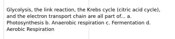 Glycolysis, the link reaction, the Krebs cycle (citric acid cycle), and the electron transport chain are all part of... a. Photosynthesis b. Anaerobic respiration c. Fermentation d. Aerobic Respiration