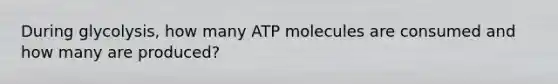 During glycolysis, how many ATP molecules are consumed and how many are produced?