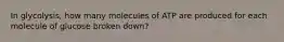 In glycolysis, how many molecules of ATP are produced for each molecule of glucose broken down?