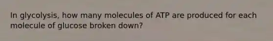 In glycolysis, how many molecules of ATP are produced for each molecule of glucose broken down?