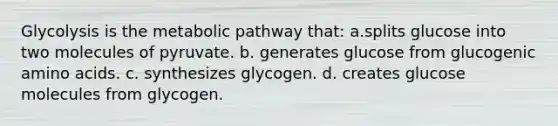 Glycolysis is the metabolic pathway that: a.splits glucose into two molecules of pyruvate. b. generates glucose from glucogenic amino acids. c. synthesizes glycogen. d. creates glucose molecules from glycogen.