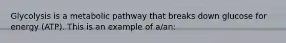 Glycolysis is a metabolic pathway that breaks down glucose for energy (ATP). This is an example of a/an: