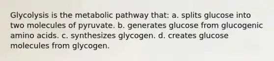 Glycolysis is the metabolic pathway that: a. splits glucose into two molecules of pyruvate. b. generates glucose from glucogenic amino acids. c. synthesizes glycogen. d. creates glucose molecules from glycogen.