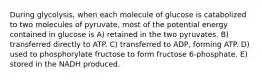 During glycolysis, when each molecule of glucose is catabolized to two molecules of pyruvate, most of the potential energy contained in glucose is A) retained in the two pyruvates. B) transferred directly to ATP. C) transferred to ADP, forming ATP. D) used to phosphorylate fructose to form fructose 6-phosphate. E) stored in the NADH produced.