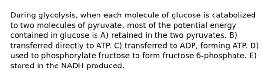 During glycolysis, when each molecule of glucose is catabolized to two molecules of pyruvate, most of the potential energy contained in glucose is A) retained in the two pyruvates. B) transferred directly to ATP. C) transferred to ADP, forming ATP. D) used to phosphorylate fructose to form fructose 6-phosphate. E) stored in the NADH produced.