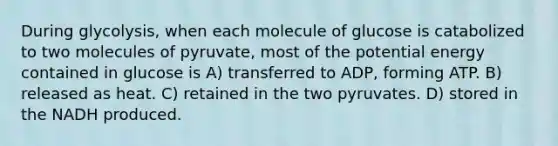 During glycolysis, when each molecule of glucose is catabolized to two molecules of pyruvate, most of the potential energy contained in glucose is A) transferred to ADP, forming ATP. B) released as heat. C) retained in the two pyruvates. D) stored in the NADH produced.