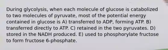 During glycolysis, when each molecule of glucose is catabolized to two molecules of pyruvate, most of the potential energy contained in glucose is A) transferred to ADP, forming ATP. B) transferred directly to ATP. C) retained in the two pyruvates. D) stored in the NADH produced. E) used to phosphorylate fructose to form fructose 6-phosphate.