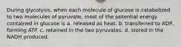 During glycolysis, when each molecule of glucose is catabolized to two molecules of pyruvate, most of the potential energy contained in glucose is a. released as heat. b. transferred to ADP, forming ATP. c. retained in the two pyruvates. d. stored in the NADH produced.