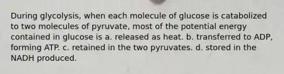 During glycolysis, when each molecule of glucose is catabolized to two molecules of pyruvate, most of the potential energy contained in glucose is a. released as heat. b. transferred to ADP, forming ATP. c. retained in the two pyruvates. d. stored in the NADH produced.