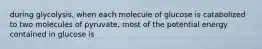 during glycolysis, when each molecule of glucose is catabolized to two molecules of pyruvate, most of the potential energy contained in glucose is