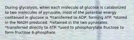 During glycolysis, when each molecule of glucose is catabolized to two molecules of pyruvate, most of the potential energy contained in glucose is *transferred to ADP, forming ATP. *stored in the NADH produced. *retained in the two pyruvates. *transferred directly to ATP. *used to phosphorylate fructose to form fructose 6-phosphate.