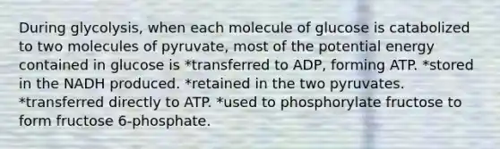 During glycolysis, when each molecule of glucose is catabolized to two molecules of pyruvate, most of the potential energy contained in glucose is *transferred to ADP, forming ATP. *stored in the NADH produced. *retained in the two pyruvates. *transferred directly to ATP. *used to phosphorylate fructose to form fructose 6-phosphate.