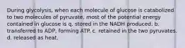 During glycolysis, when each molecule of glucose is catabolized to two molecules of pyruvate, most of the potential energy contained in glucose is q. stored in the NADH produced. b. transferred to ADP, forming ATP. c. retained in the two pyruvates. d. released as heat.