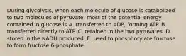 During glycolysis, when each molecule of glucose is catabolized to two molecules of pyruvate, most of the potential energy contained in glucose is A. transferred to ADP, forming ATP. B. transferred directly to ATP. C. retained in the two pyruvates. D. stored in the NADH produced. E. used to phosphorylate fructose to form fructose 6-phosphate.