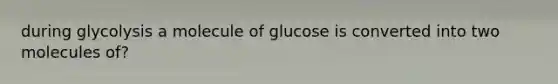 during glycolysis a molecule of glucose is converted into two molecules of?