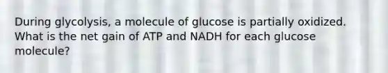 During glycolysis, a molecule of glucose is partially oxidized. What is the net gain of ATP and NADH for each glucose molecule?