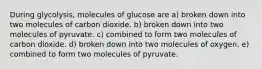 During glycolysis, molecules of glucose are a) broken down into two molecules of carbon dioxide. b) broken down into two molecules of pyruvate. c) combined to form two molecules of carbon dioxide. d) broken down into two molecules of oxygen. e) combined to form two molecules of pyruvate.