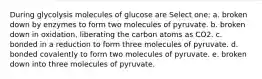 During glycolysis molecules of glucose are Select one: a. broken down by enzymes to form two molecules of pyruvate. b. broken down in oxidation, liberating the carbon atoms as CO2. c. bonded in a reduction to form three molecules of pyruvate. d. bonded covalently to form two molecules of pyruvate. e. broken down into three molecules of pyruvate.