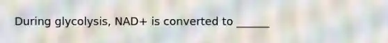 During glycolysis, NAD+ is converted to ______