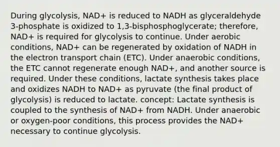 During glycolysis, NAD+ is reduced to NADH as glyceraldehyde 3-phosphate is oxidized to 1,3-bisphosphoglycerate; therefore, NAD+ is required for glycolysis to continue. Under aerobic conditions, NAD+ can be regenerated by oxidation of NADH in <a href='https://www.questionai.com/knowledge/k57oGBr0HP-the-electron-transport-chain' class='anchor-knowledge'>the electron transport chain</a> (ETC). Under anaerobic conditions, the ETC cannot regenerate enough NAD+, and another source is required. Under these conditions, lactate synthesis takes place and oxidizes NADH to NAD+ as pyruvate (the final product of glycolysis) is reduced to lactate. concept: Lactate synthesis is coupled to the synthesis of NAD+ from NADH. Under anaerobic or oxygen-poor conditions, this process provides the NAD+ necessary to continue glycolysis.