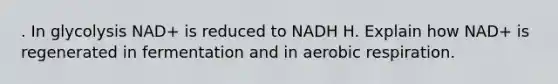 . In glycolysis NAD+ is reduced to NADH H. Explain how NAD+ is regenerated in fermentation and in aerobic respiration.