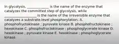 In glycolysis, _____________ is the name of the enzyme that catalyzes the committed step of glycolysis, while ___________________ is the name of the irreversible enzyme that catalyzes a substrate-level phosphorylation. A. phosphofructokinase ; pyruvate kinase B. phosphofructokinase ; hexokinase C. phosphofructokinase ; phosphoglycerate kinase D. hexokinase ; pyruvate kinase E. hexokinase ; phosphoglycerate kinase