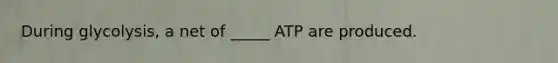 During glycolysis, a net of _____ ATP are produced.