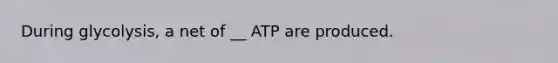 During glycolysis, a net of __ ATP are produced.