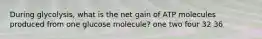 During glycolysis, what is the net gain of ATP molecules produced from one glucose molecule? one two four 32 36