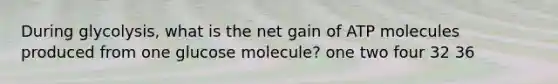 During glycolysis, what is the net gain of ATP molecules produced from one glucose molecule? one two four 32 36