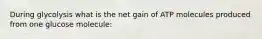 During glycolysis what is the net gain of ATP molecules produced from one glucose molecule: