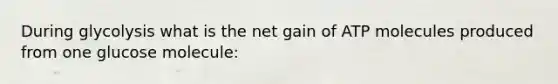 During glycolysis what is the net gain of ATP molecules produced from one glucose molecule: