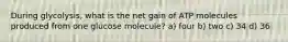 During glycolysis, what is the net gain of ATP molecules produced from one glucose molecule? a) four b) two c) 34 d) 36