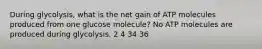 During glycolysis, what is the net gain of ATP molecules produced from one glucose molecule? No ATP molecules are produced during glycolysis. 2 4 34 36