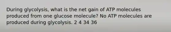 During glycolysis, what is the net gain of ATP molecules produced from one glucose molecule? No ATP molecules are produced during glycolysis. 2 4 34 36