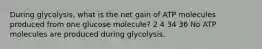 During glycolysis, what is the net gain of ATP molecules produced from one glucose molecule? 2 4 34 36 No ATP molecules are produced during glycolysis.