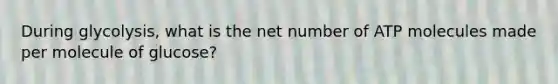 During glycolysis, what is the net number of ATP molecules made per molecule of glucose?