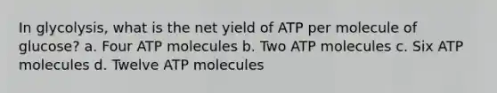 In glycolysis, what is the net yield of ATP per molecule of glucose? a. Four ATP molecules b. Two ATP molecules c. Six ATP molecules d. Twelve ATP molecules