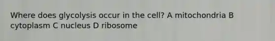 Where does glycolysis occur in the cell? A mitochondria B cytoplasm C nucleus D ribosome