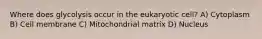 Where does glycolysis occur in the eukaryotic cell? A) Cytoplasm B) Cell membrane C) Mitochondrial matrix D) Nucleus