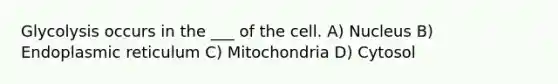 Glycolysis occurs in the ___ of the cell. A) Nucleus B) Endoplasmic reticulum C) Mitochondria D) Cytosol